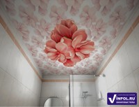 Декоративный потолок манголия